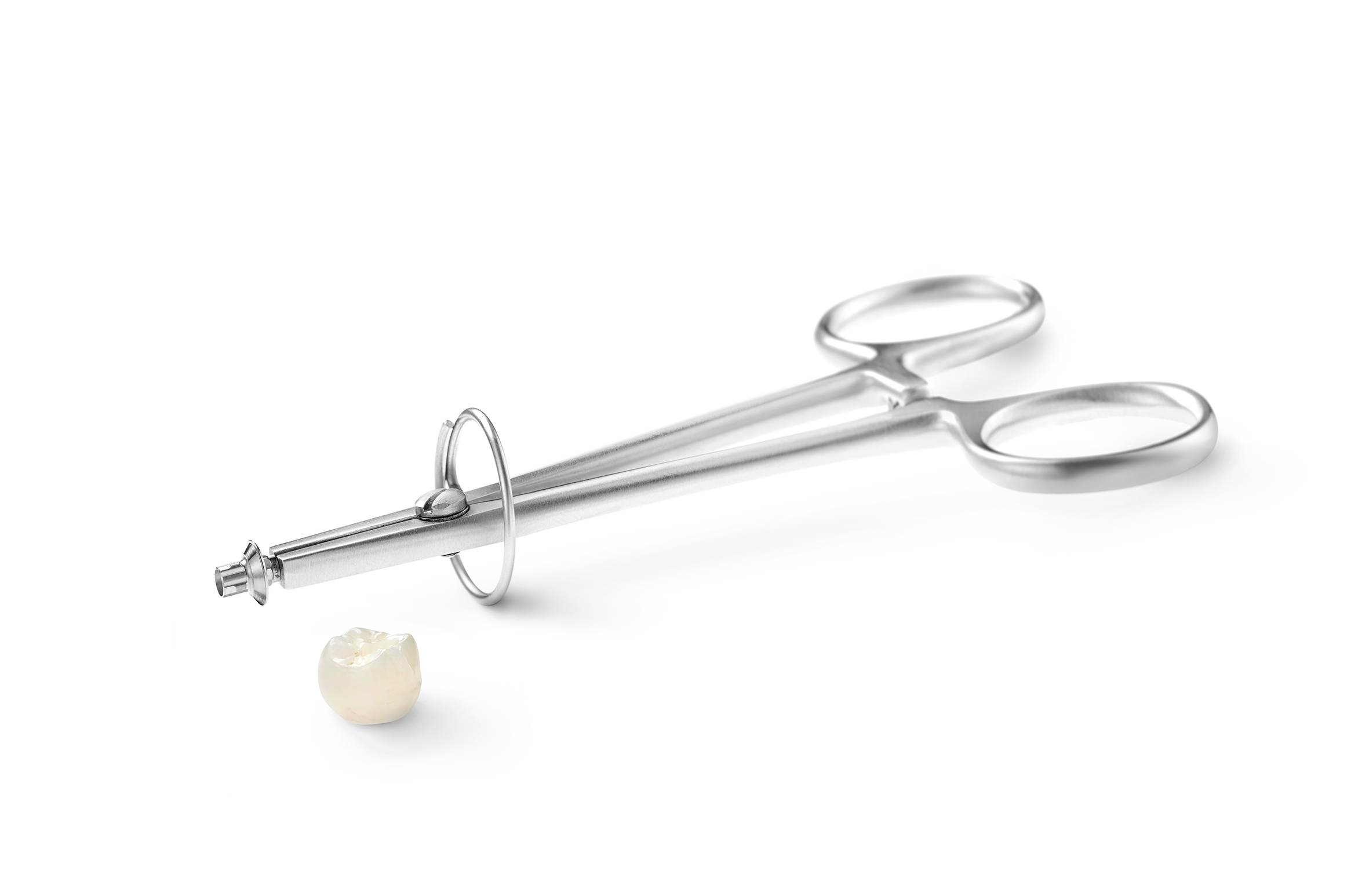 Implant Base Holder