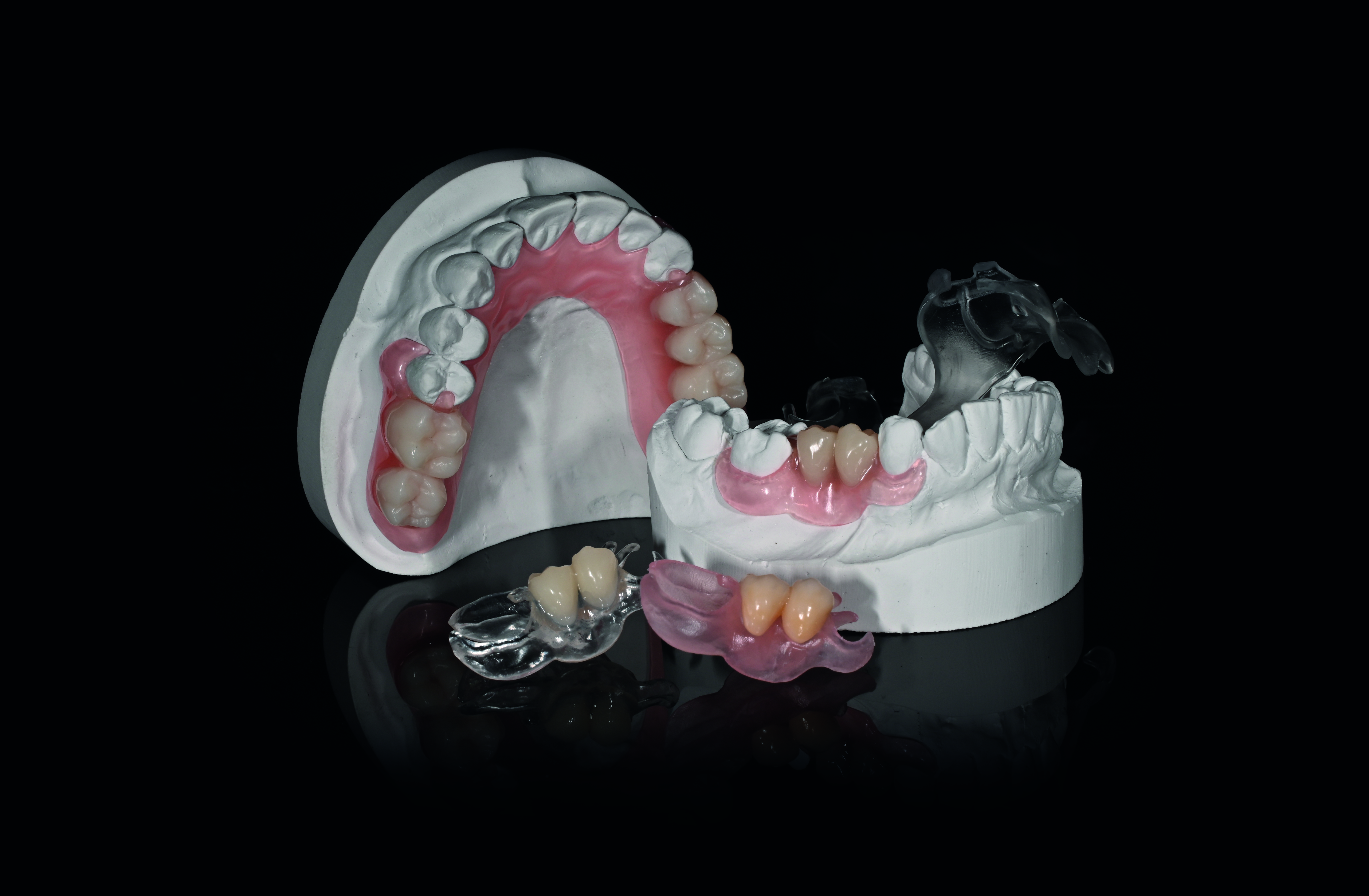 DENTALOS Plus Blanks Multicolor 98,3 mm